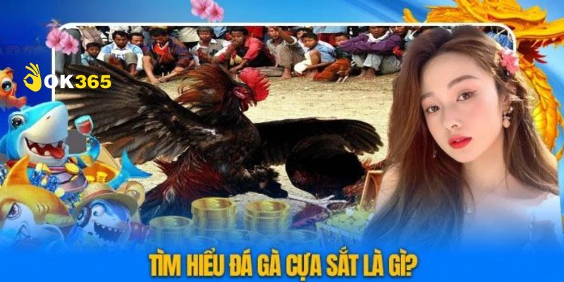 Những thông tin quan trọng của bộ môn đá gà cựa sắt này